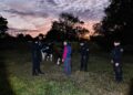 Robó un ternero y fue capturado por la Policía mientras lo ocultaba entre las malezas en El Soberbio