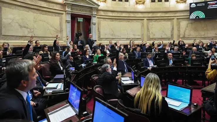 Senado: el Gobierno aprobó la ley de propiedad privada, pero tuvo que quitar otro capítulo