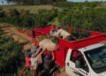 Misiones lanzó una nueva herramienta para financiar al sector yerbatero y adelantar el cobro de ventas