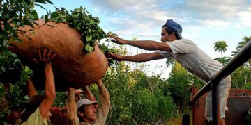 Misiones solicitó la continuidad del programa Intercosecha para los trabajadores tareferos
