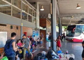 Posadas: interceptaron a un contingente de ciudadanos chinos que ingresó al país de forma irregular