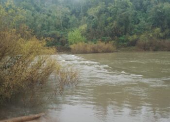 Por la crecida del arroyo Yabotí, permanece cerrado el acceso al Parque Provincial Moconá