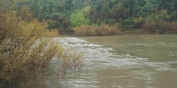 Por la crecida del arroyo Yabotí, permanece cerrado el acceso al Parque Provincial Moconá