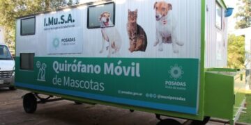Operativos del Imusa: conocé los lugares en los que acercarán atención integral para tu mascota esta semana