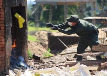 Incineraron más de cuatro toneladas de estupefacientes en Misiones