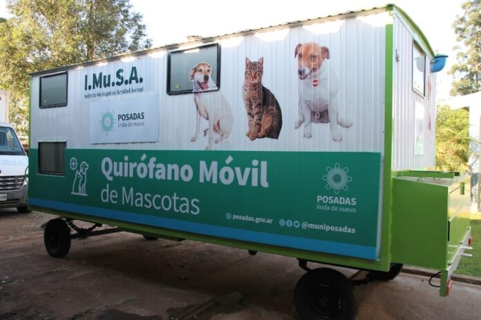 Operativos del Imusa: conocé los lugares en los que acercarán atención integral para tu mascota esta semana