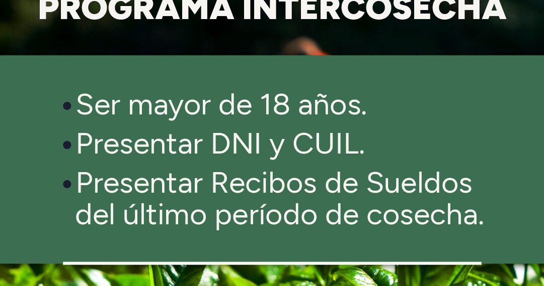Comenzó el relevamiento a tareferos en toda la provincia
