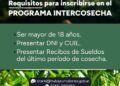 Comenzó el relevamiento a tareferos en toda la provincia