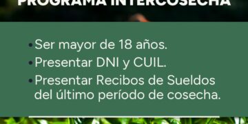 Comenzó el relevamiento a tareferos en toda la provincia