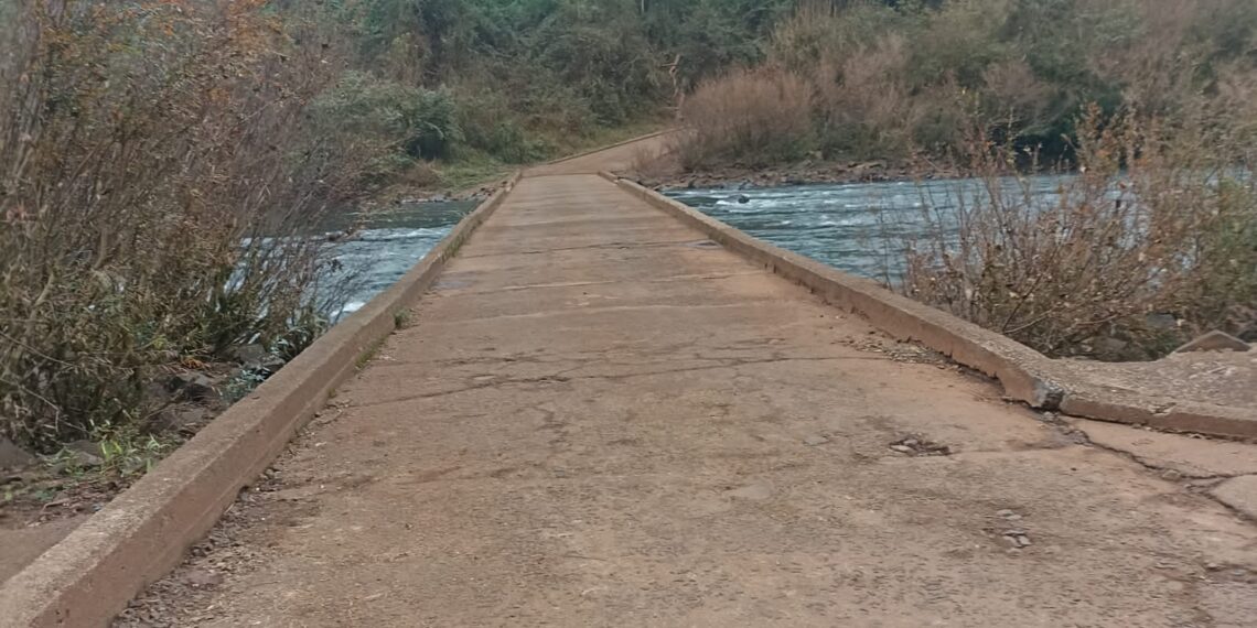 Habilitaron el acceso al Parque Provincial Moconá y los paseos náuticos