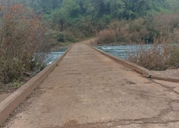 Habilitaron el acceso al Parque Provincial Moconá y los paseos náuticos