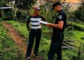 Rescataron a una mujer de 85 años que se desvaneció tras un ataque de un enjambre de abejas