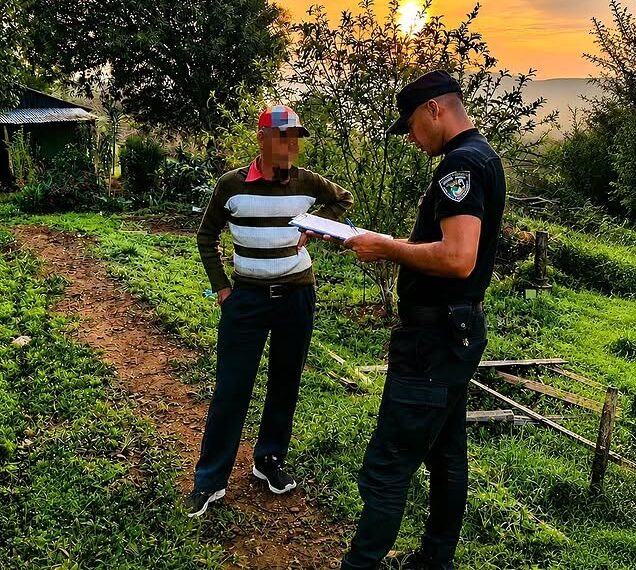 Rescataron a una mujer de 85 años que se desvaneció tras un ataque de un enjambre de abejas