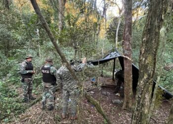 Desmantelaron campamentos utilizados para la caza furtiva en Montecarlo