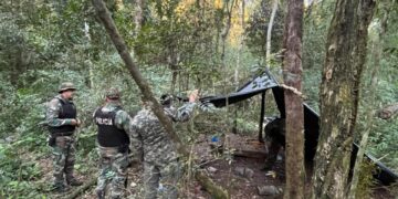 Desmantelaron campamentos utilizados para la caza furtiva en Montecarlo