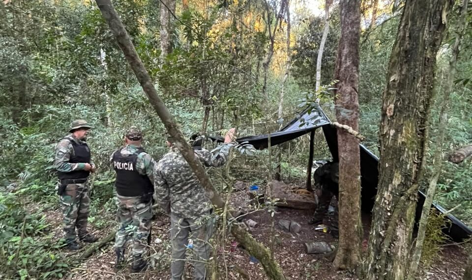 Desmantelaron campamentos utilizados para la caza furtiva en Montecarlo