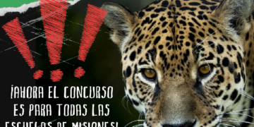 “El yaguareté nos cuenta la selva”: el concurso de Fundación Vida Silvestre que involucra a las escuelas de Misiones