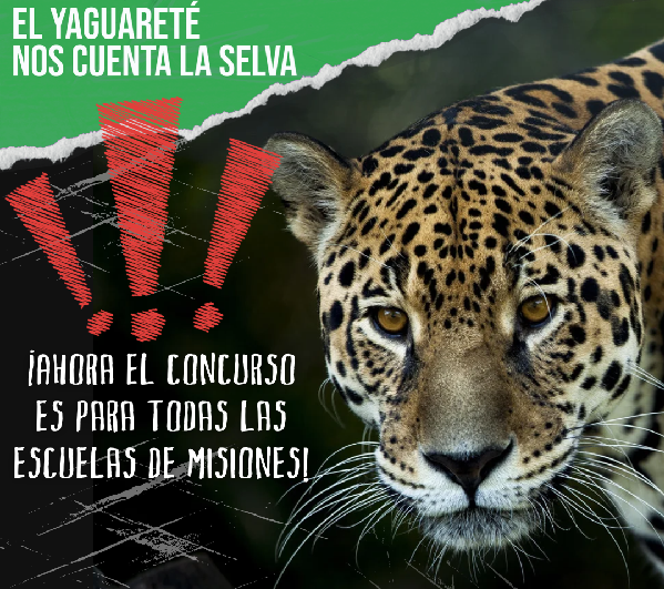 “El yaguareté nos cuenta la selva”: el concurso de Fundación Vida Silvestre que involucra a las escuelas de Misiones