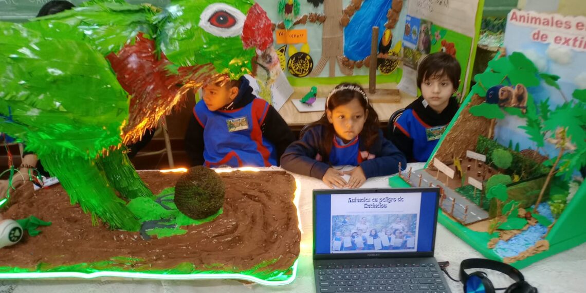 Definieron los proyectos que representarán a la provincia en la Feria Nacional de Ciencias 2026