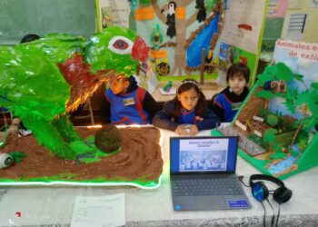 Definieron los proyectos que representarán a la provincia en la Feria Nacional de Ciencias 2026