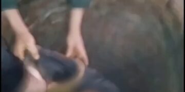 Cayó a un pozo de 15 metros de profundidad y policías descendieron con sogas para rescatarlo en Azara