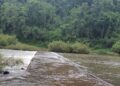 Cerraron el acceso al Parque Provincial Moconá por la crecida del arroyo Yabotí