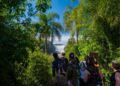 Misiones reducirá Ingresos Brutos para profesionales del turismo y aliviará retenciones a agencias de viajes