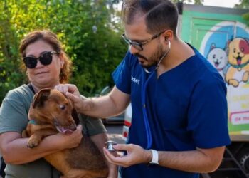 El Imusa recorre los barrios posadeños con controles sanitarios: mirá el cronograma