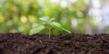 Misiones: la Legislatura da luz verde para los bioinsumos y deja sin efecto la prohibición del glifosato