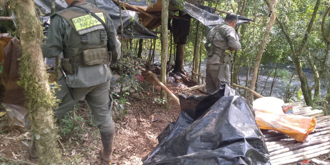 Desmantelaron un campamento de cazadores furtivos en el interior de la Reserva de la Biosfera Yabotí
