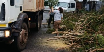 La Municipalidad removió más de 80 árboles y ramas caídas tras la tormenta que afectó a Posadas el sábado