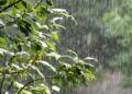 Prevén lluvias para hoy y posibles tormentas fuertes con granizo para el domingo