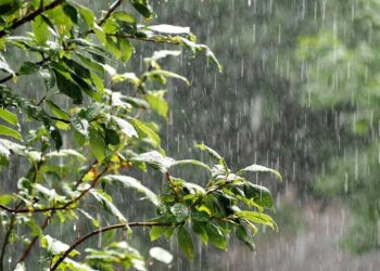 Prevén lluvias para hoy y posibles tormentas fuertes con granizo para el domingo