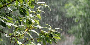 Prevén lluvias para hoy y posibles tormentas fuertes con granizo para el domingo