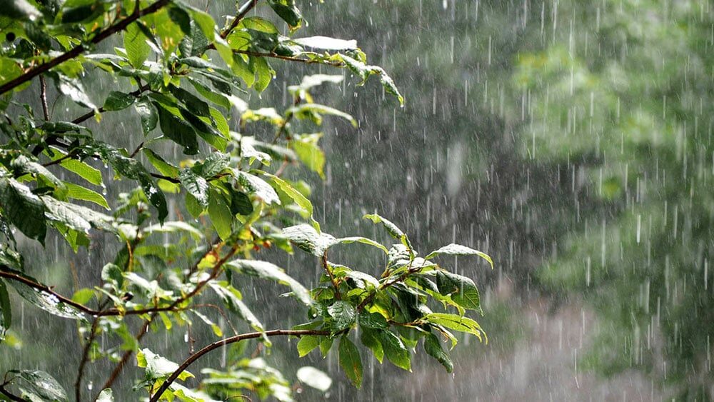 Prevén lluvias para hoy y posibles tormentas fuertes con granizo para el domingo
