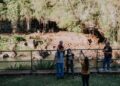 Turismo: Misiones reasigna $313 millones y prioriza a los emprendimientos del interior
