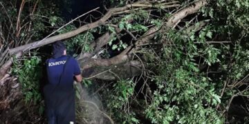 Más de 100 familias fueron asistidas en Eldorado tras el fuerte temporal