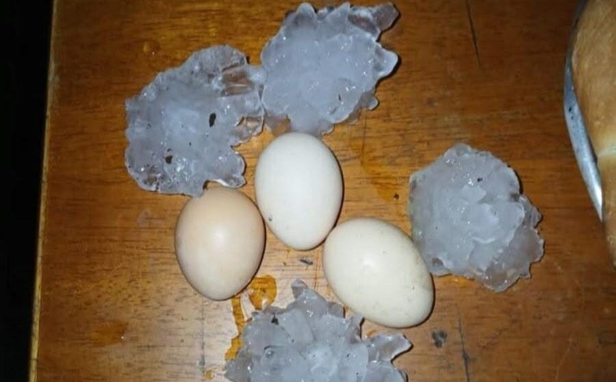 Fuerte temporal con granizo provocó importantes daños en los cultivos en San Antonio
