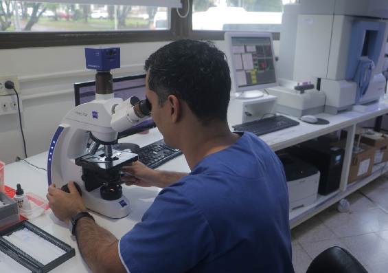 Congelar para curar: el Madariaga potencia su consultorio exclusivo de crioterapia