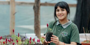Estudiantes de Misiones destacan en certámenes internacionales de innovación educativa