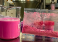 Jujuy: desarrollaron un yogurt en polvo a base de leche de cabra y pitaya roja