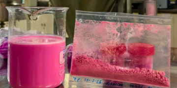 Jujuy: desarrollaron un yogurt en polvo a base de leche de cabra y pitaya roja