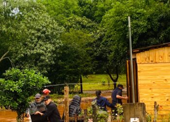 Ascienden a 66 las viviendas afectadas por el temporal en Misiones, con familias evacuadas y nuevos cortes de rutas y puentes