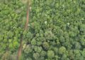 Misiones impulsa la integración con Brasil a través de un corredor de biodiversidad y desarrollo sostenible