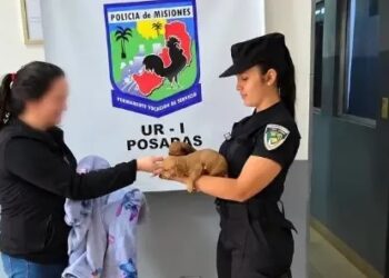 Le robó las dos perritas salchichas para cobrarse una deuda y terminó detenida en Posadas