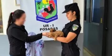 Le robó las dos perritas salchichas para cobrarse una deuda y terminó detenida en Posadas