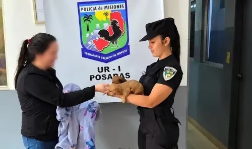 Le robó las dos perritas salchichas para cobrarse una deuda y terminó detenida en Posadas