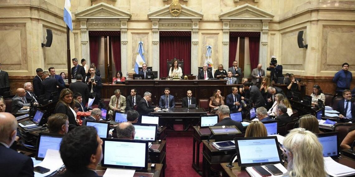 El Senado aprobó en general la reforma de la Ley de Salud Mental, que habilita internaciones involuntarias