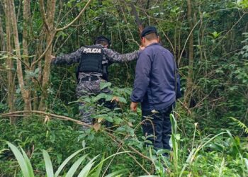 Doble muerte en Los Helechos: dos allanamientos, cámaras bajo análisis y 50 policías en los rastrillajes