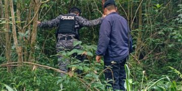 Doble muerte en Los Helechos: dos allanamientos, cámaras bajo análisis y 50 policías en los rastrillajes